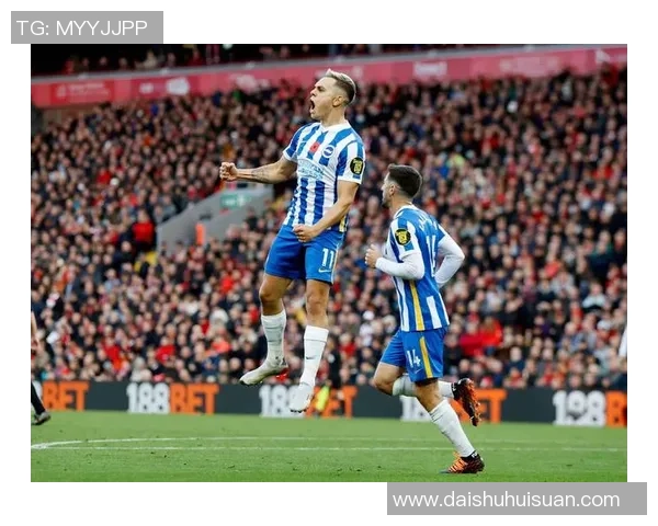 CIES列2021年来转会盈余榜：法鹰2.86亿欧居首，布莱顿第二